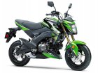 Kawasaki Z125 Pro KRT